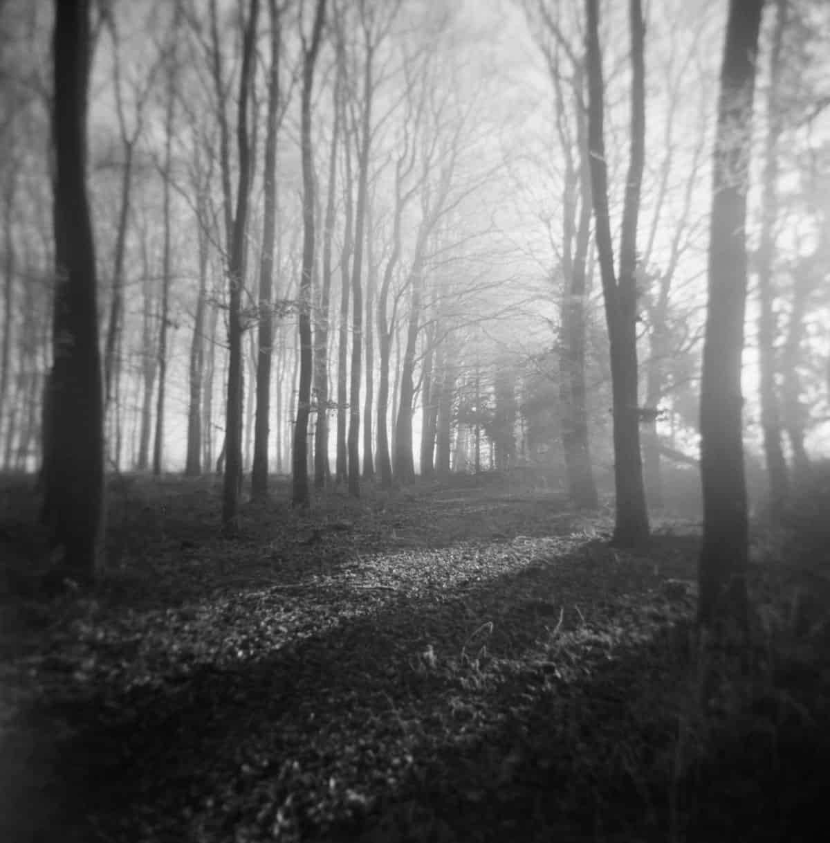 Holga Glass vs Plastic Lens Image Comparisons by Alec Pain on Shoot It With Film