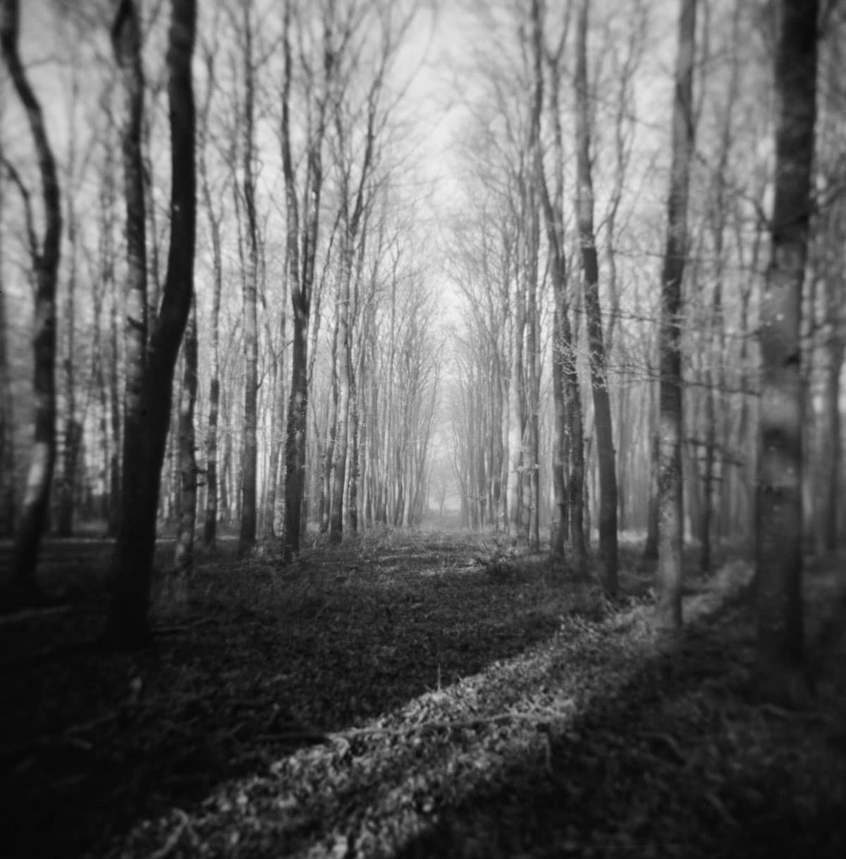 Holga Glass vs Plastic Lens Image Comparisons by Alec Pain on Shoot It With Film