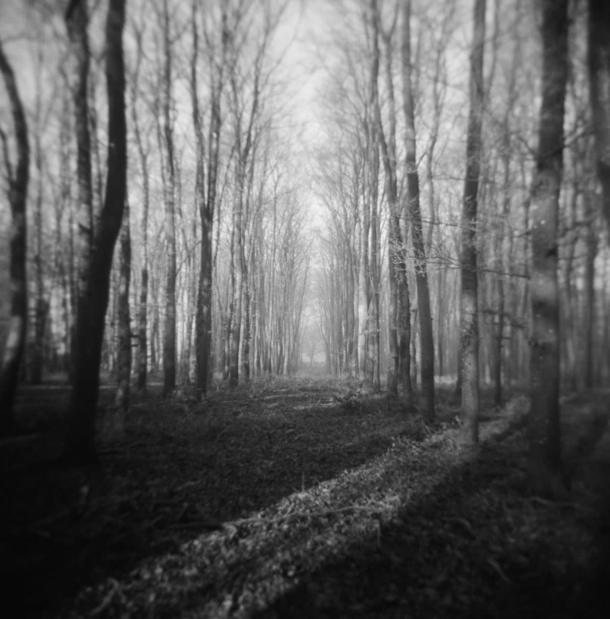 Holga Glass vs Plastic Lens Image Comparisons by Alec Pain on Shoot It With Film