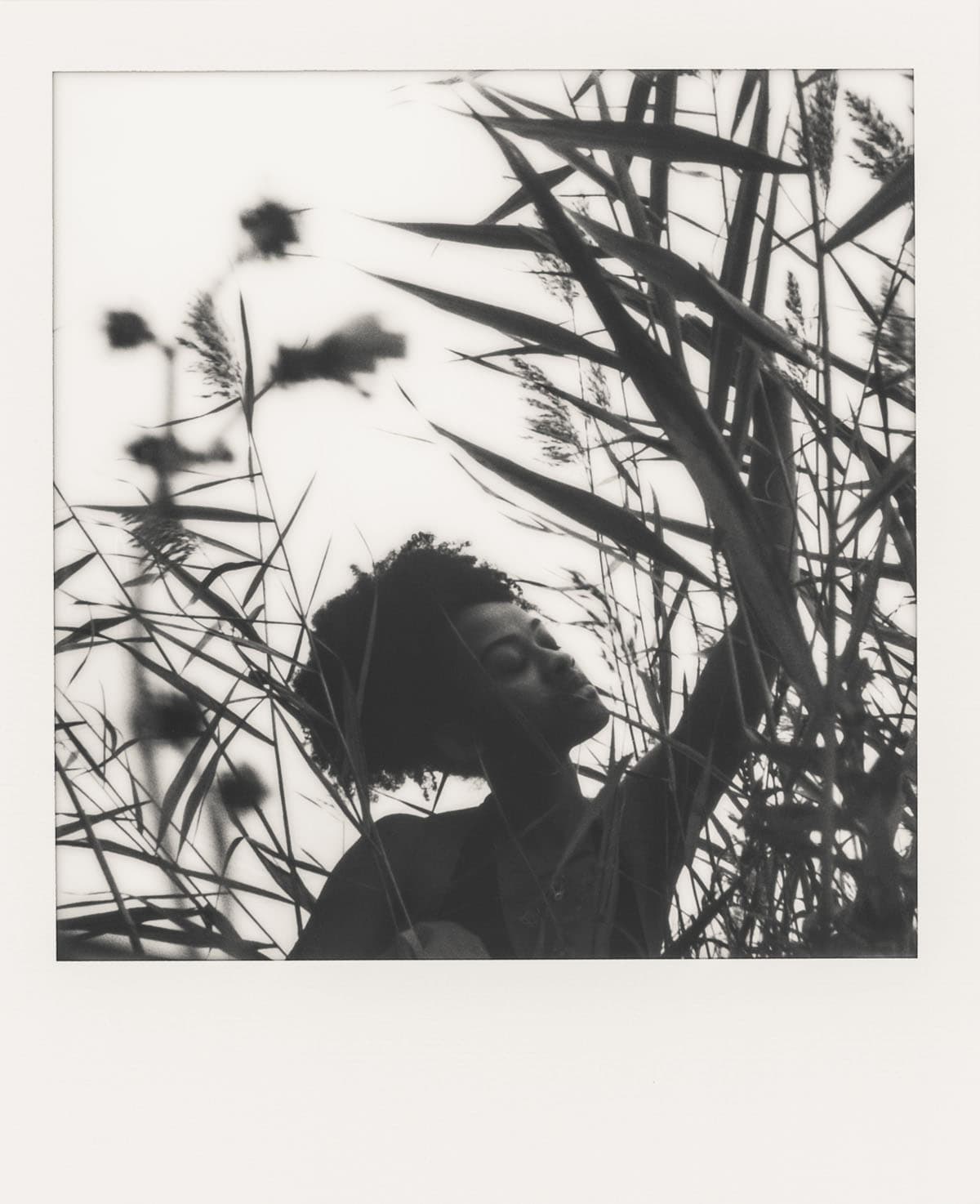Polaroid Fine Art Series by Gabrielle Cavallaro on Shoot It With Film
