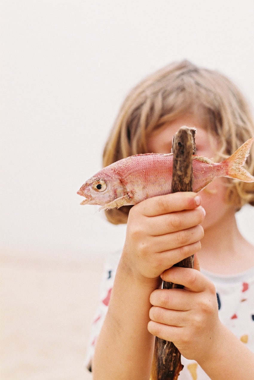 South Africa Travel Essay by Anna Roesch on Shoot It With Film