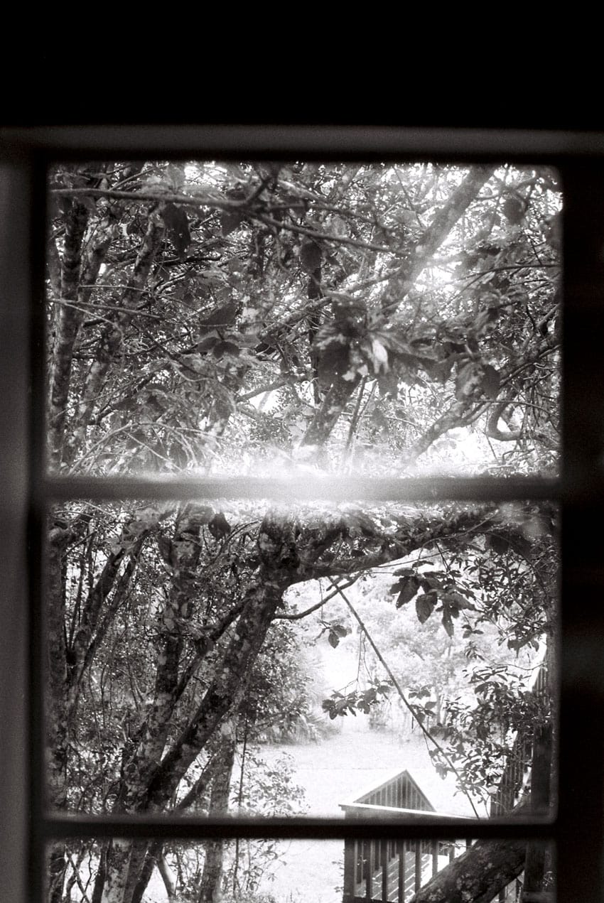 South Africa Travel Essay by Anna Roesch on Shoot It With Film