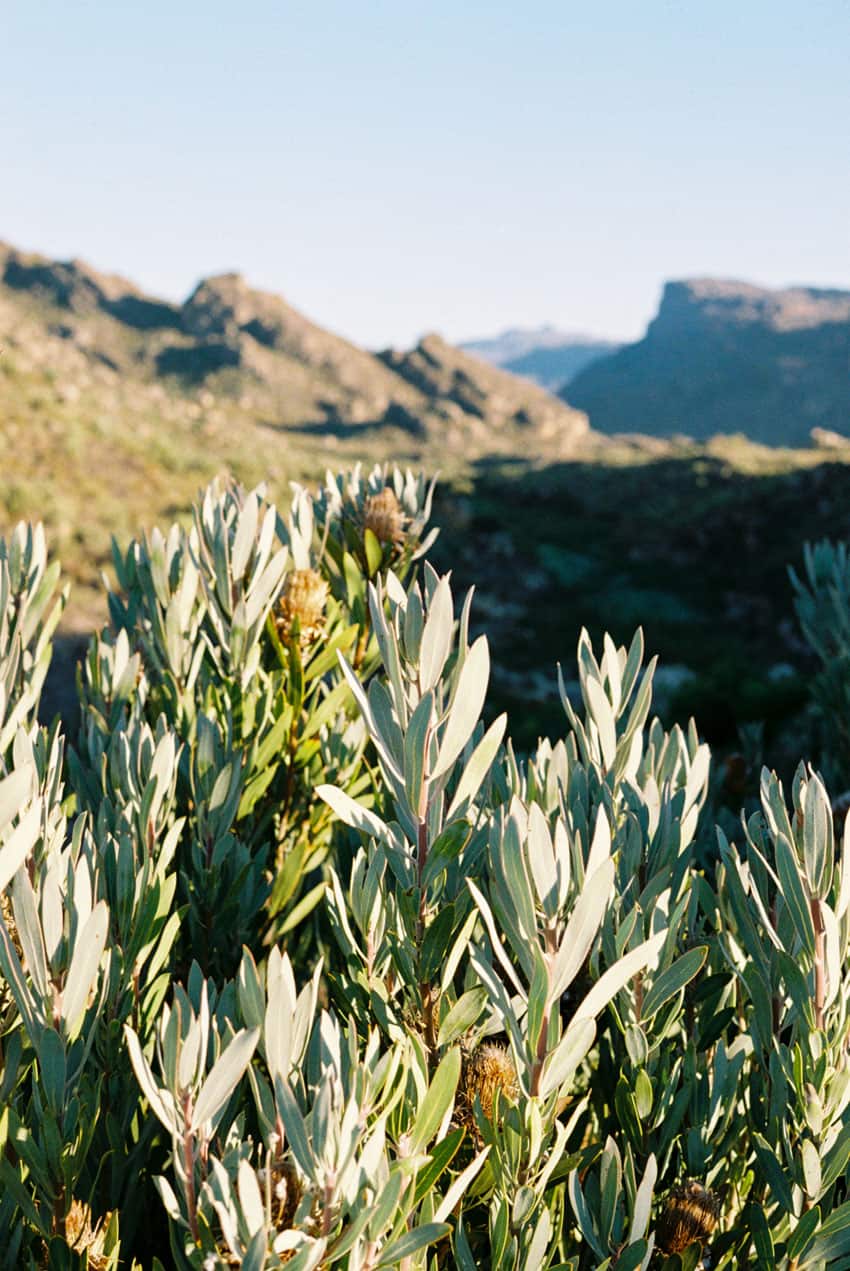 South Africa Travel Essay by Anna Roesch on Shoot It With Film