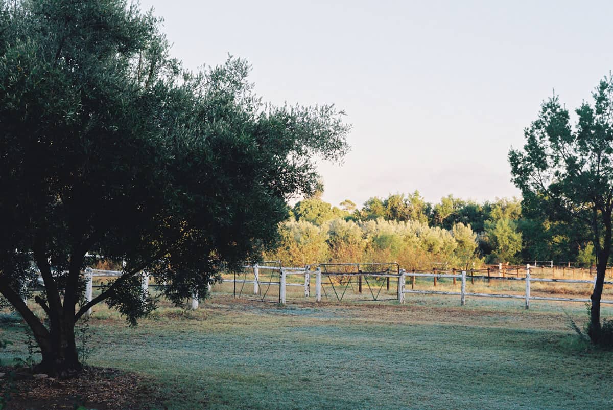 South Africa Travel Essay by Anna Roesch on Shoot It With Film