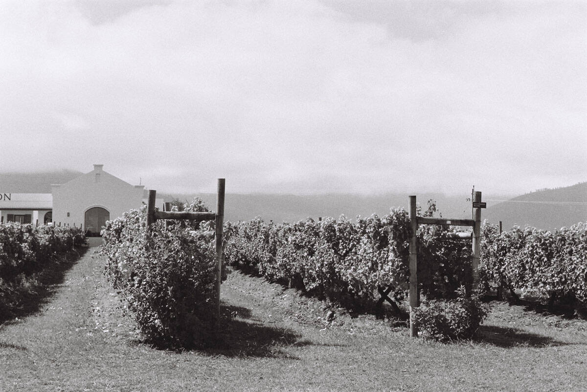 South Africa Travel Essay by Anna Roesch on Shoot It With Film