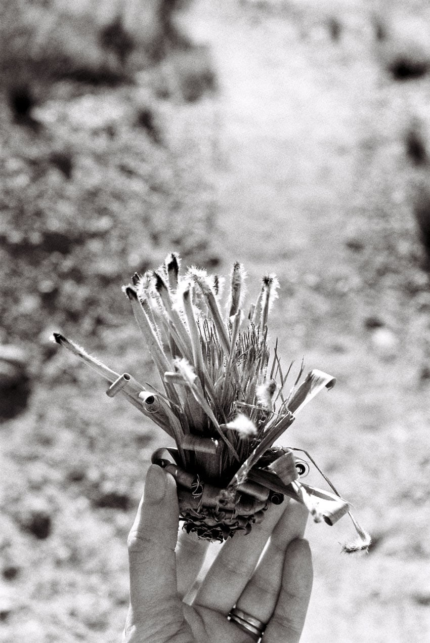 South Africa Travel Essay by Anna Roesch on Shoot It With Film