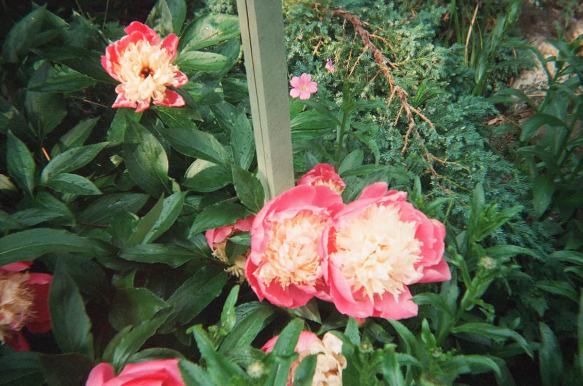 Europe and Morocco Travel Story by Ethan Ege on Shoot It With Film