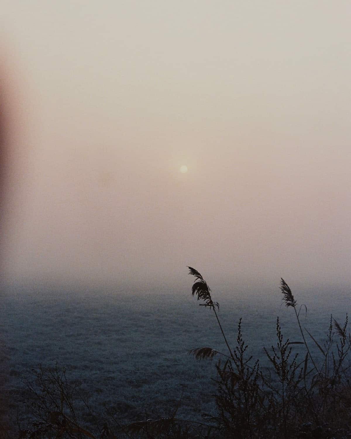 Fog Fine Art Series on 35mm Film by Sylwia on Shoot It With Film