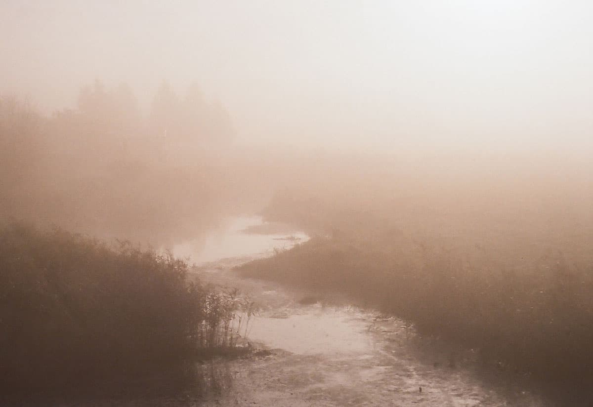 Fog Fine Art Series on 35mm Film by Sylwia on Shoot It With Film