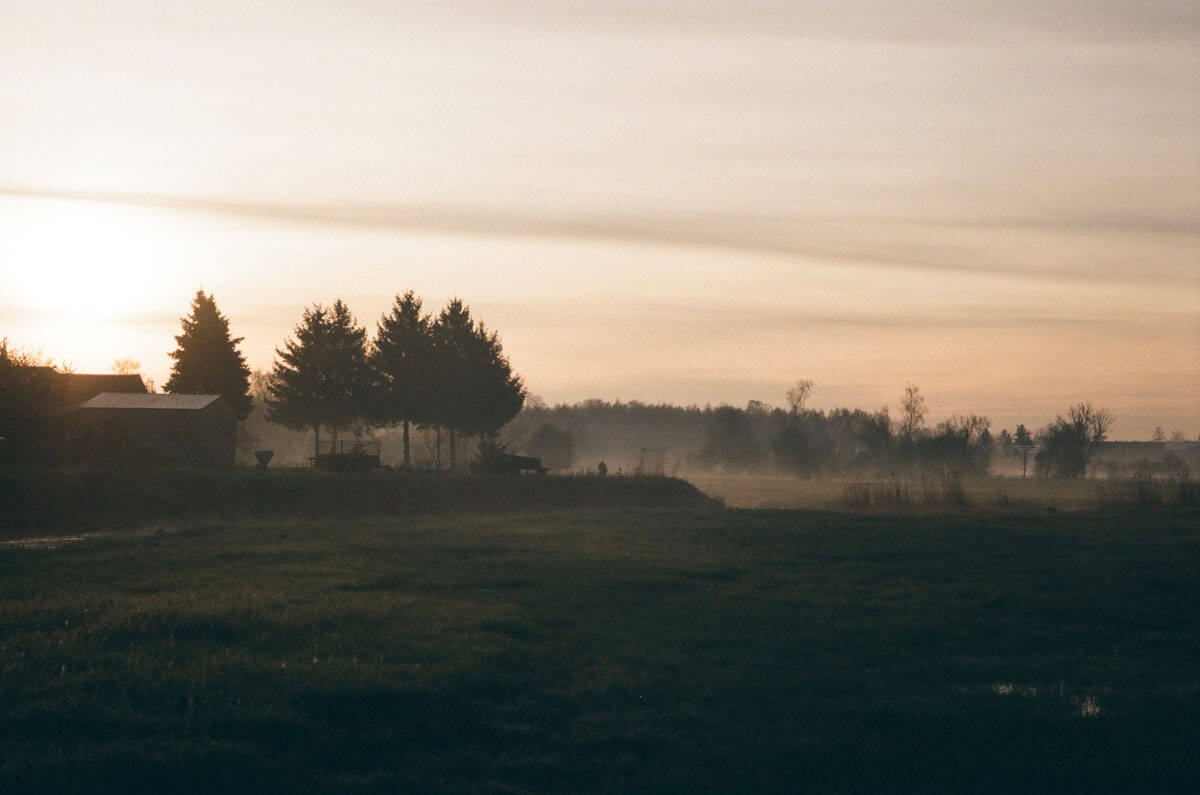 Fog Fine Art Series on 35mm Film by Sylwia on Shoot It With Film