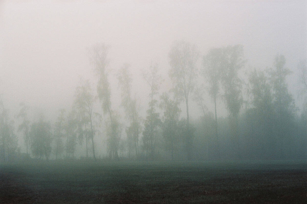 Fog Fine Art Series on 35mm Film by Sylwia on Shoot It With Film
