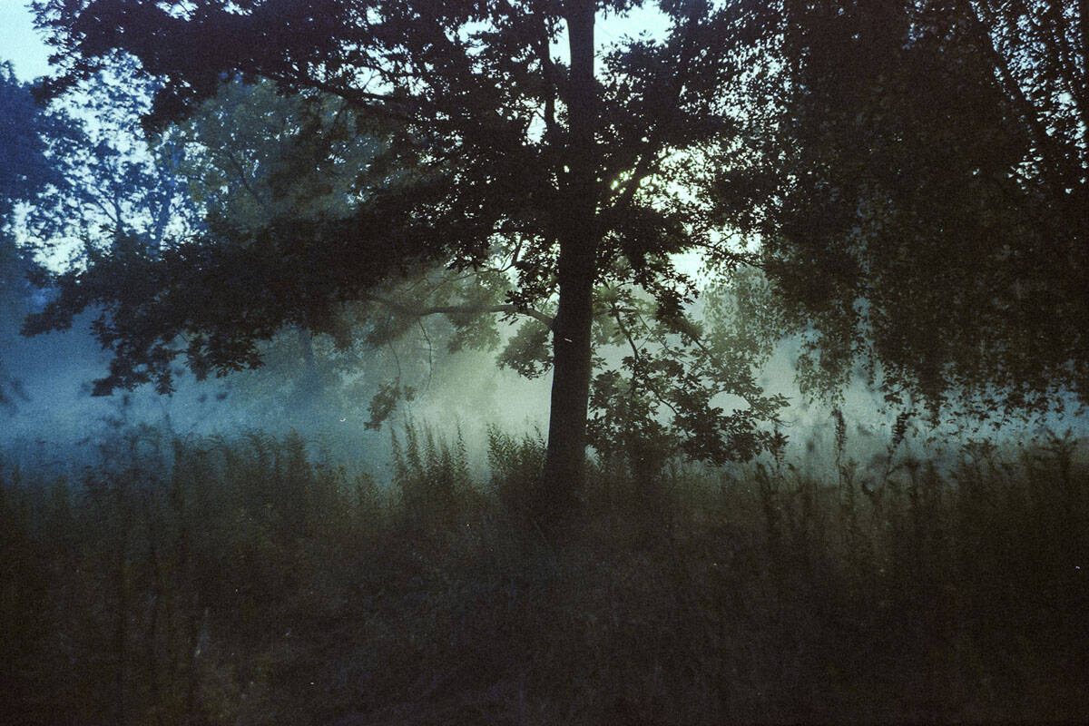 Fog Fine Art Series on 35mm Film by Sylwia on Shoot It With Film
