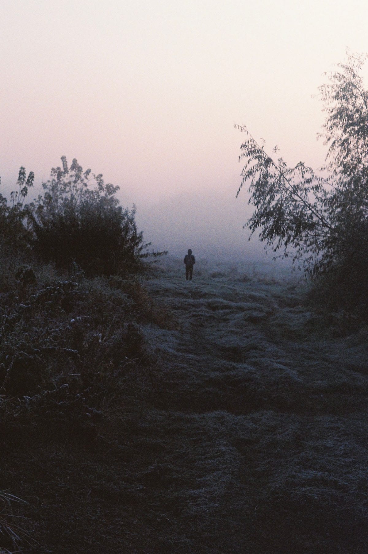 Fog Fine Art Series on 35mm Film by Sylwia on Shoot It With Film