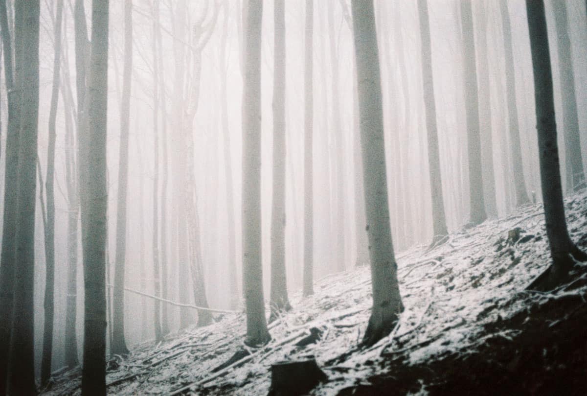 Fog Fine Art Series on 35mm Film by Sylwia on Shoot It With Film