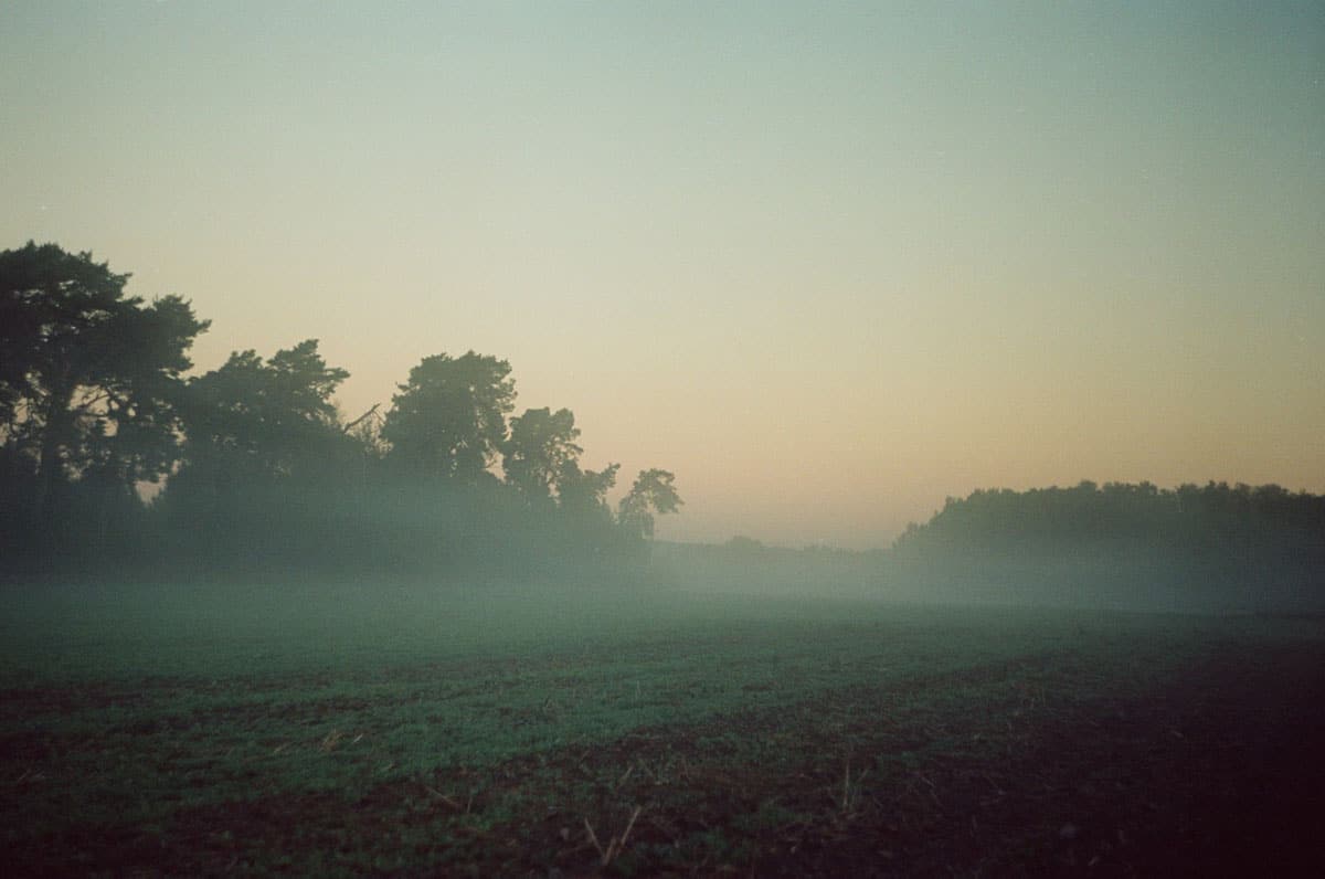 Fog Fine Art Series on 35mm Film by Sylwia on Shoot It With Film