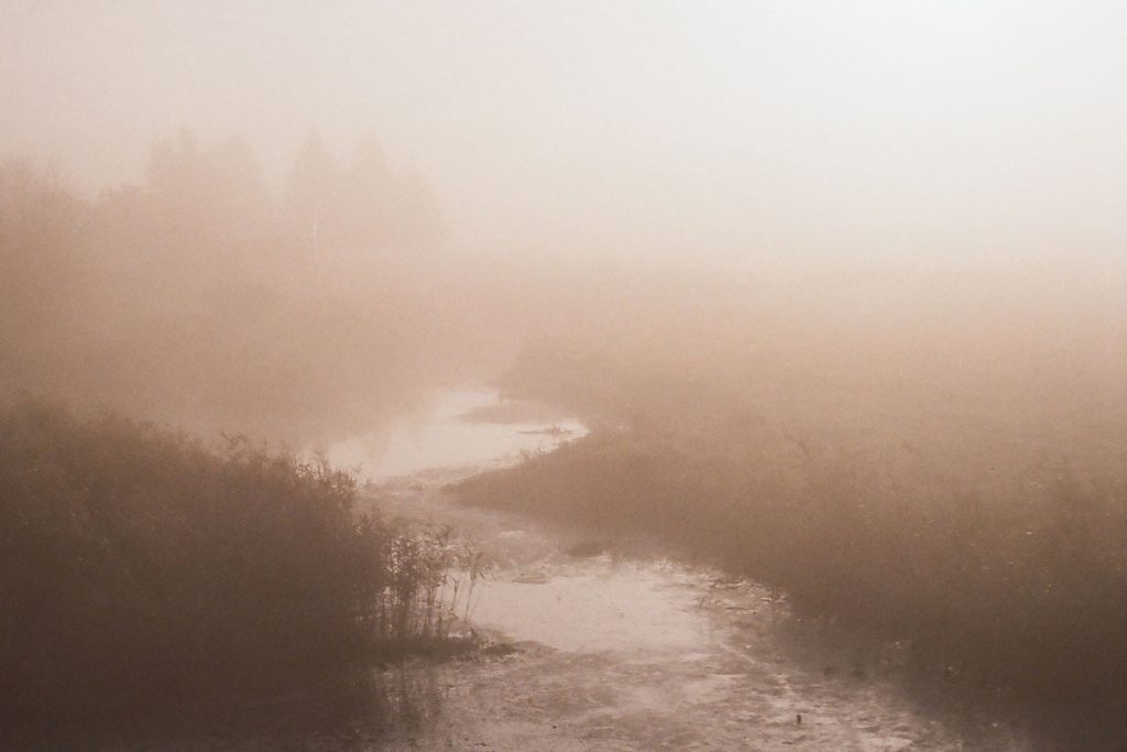 Fog Fine Art Series on 35mm Film by Sylwia on Shoot It With Film