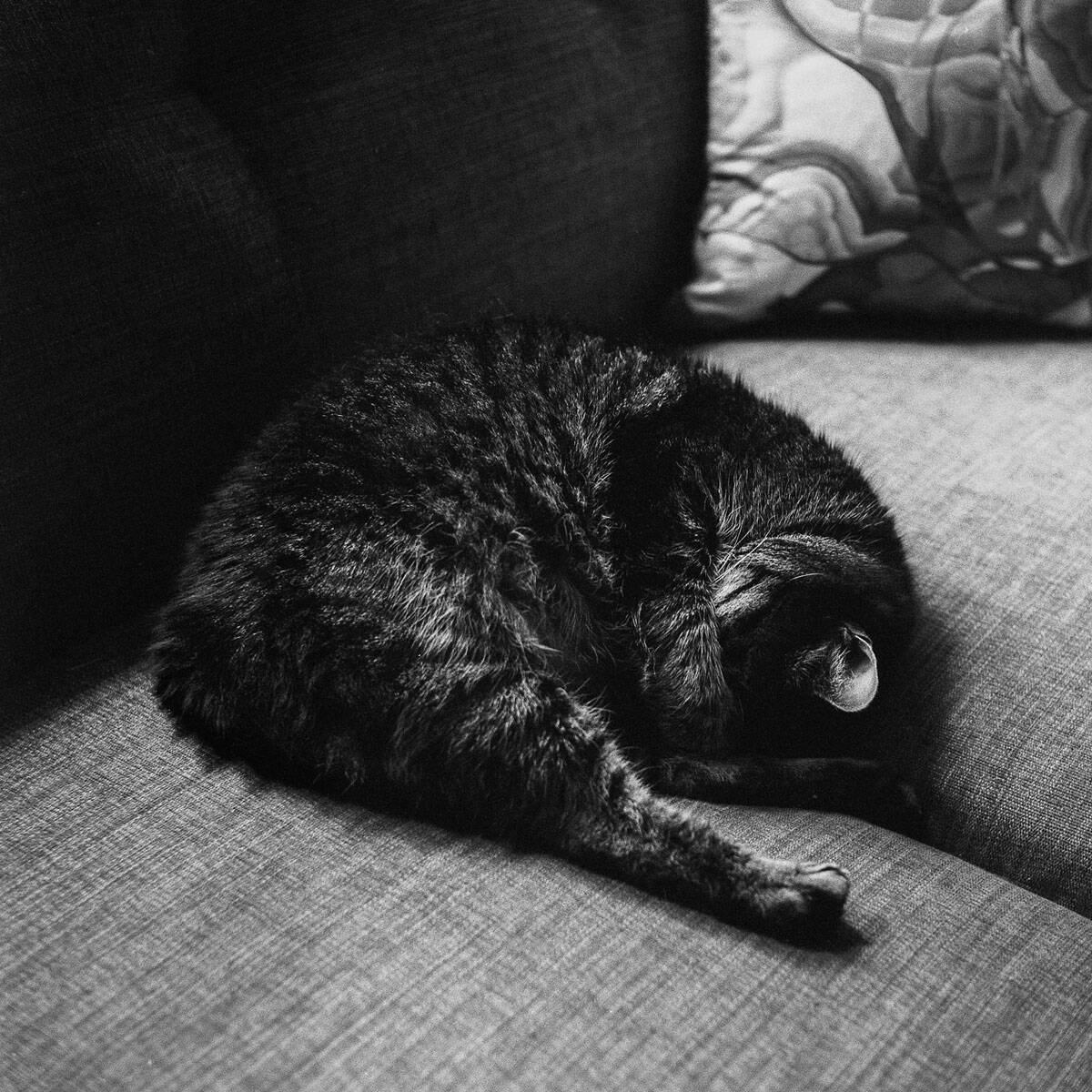 Ilford HP5 Pushed 3, 4, and 5 Stops by Taylor Blanchard on Shoot It With Film