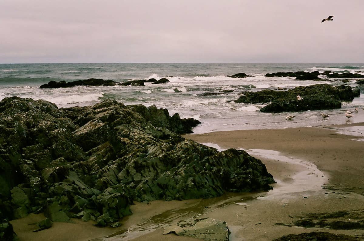 Oregon Coast Travel Story on 35mm Film by Curtis Heikkinen on Shoot It With Film