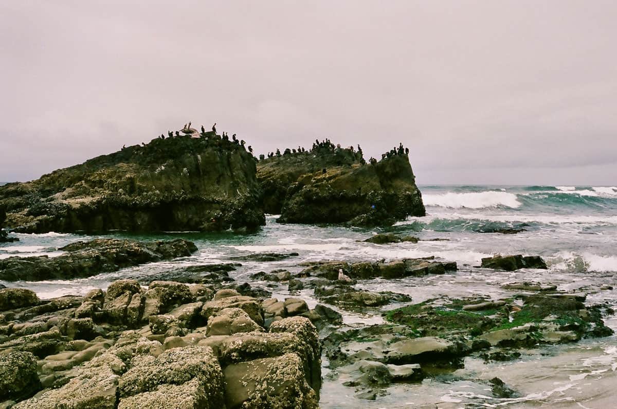 Oregon Coast Travel Story on 35mm Film by Curtis Heikkinen on Shoot It With Film