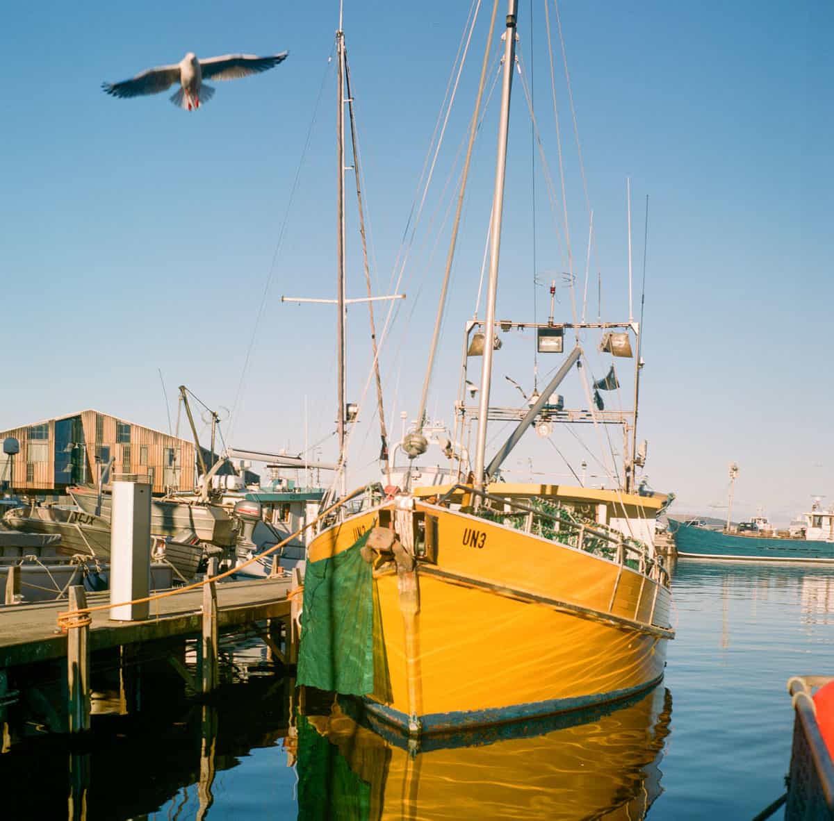 Tasmania Travel Story on Medium Format Film by Sarah McAskill on Shoot It With Film