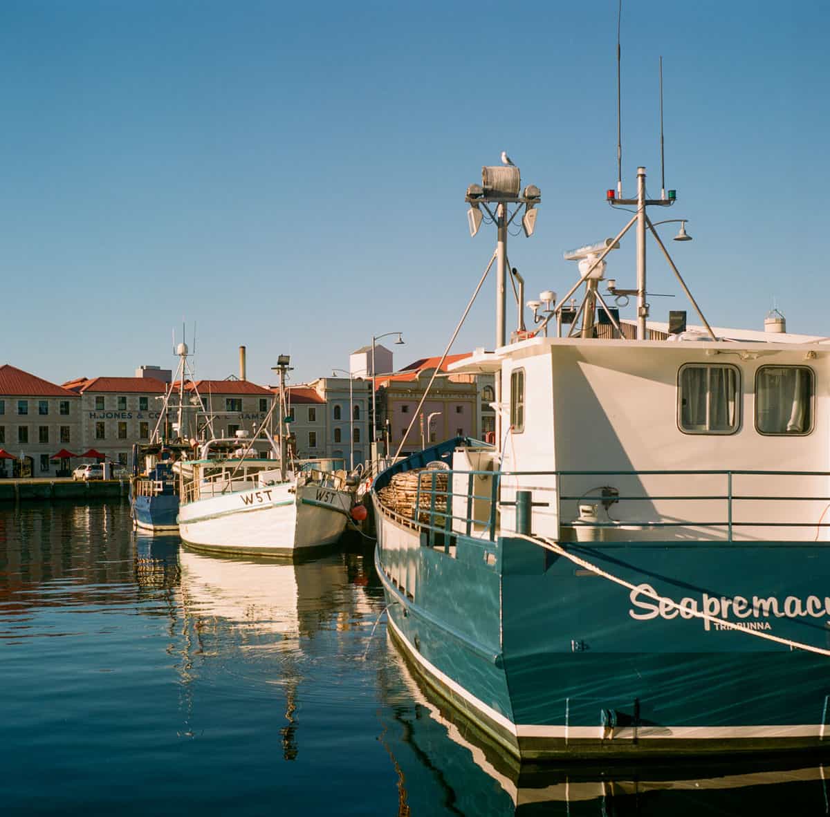 Tasmania Travel Story on Medium Format Film by Sarah McAskill on Shoot It With Film
