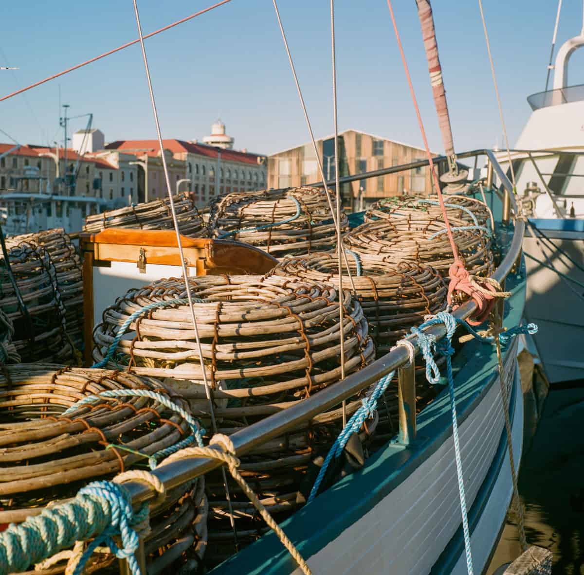 Tasmania Travel Story on Medium Format Film by Sarah McAskill on Shoot It With Film
