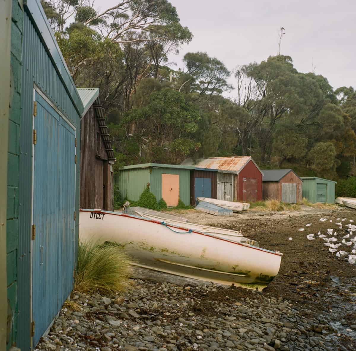 Tasmania Travel Story on Medium Format Film by Sarah McAskill on Shoot It With Film