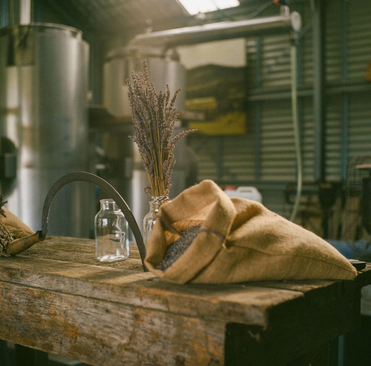 Tasmania Travel Story on Medium Format Film by Sarah McAskill on Shoot It With Film