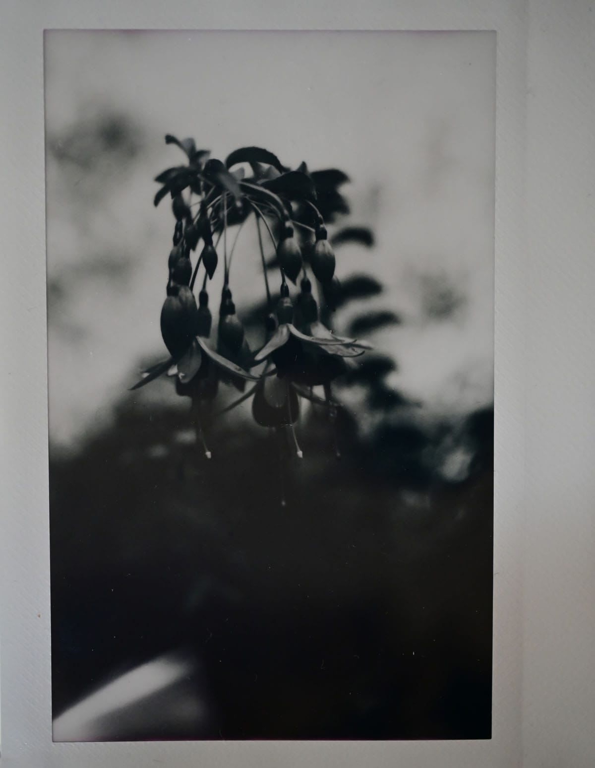 How to Use the Graflex Speed Graphic by Alec Pain on Shoot It With Film