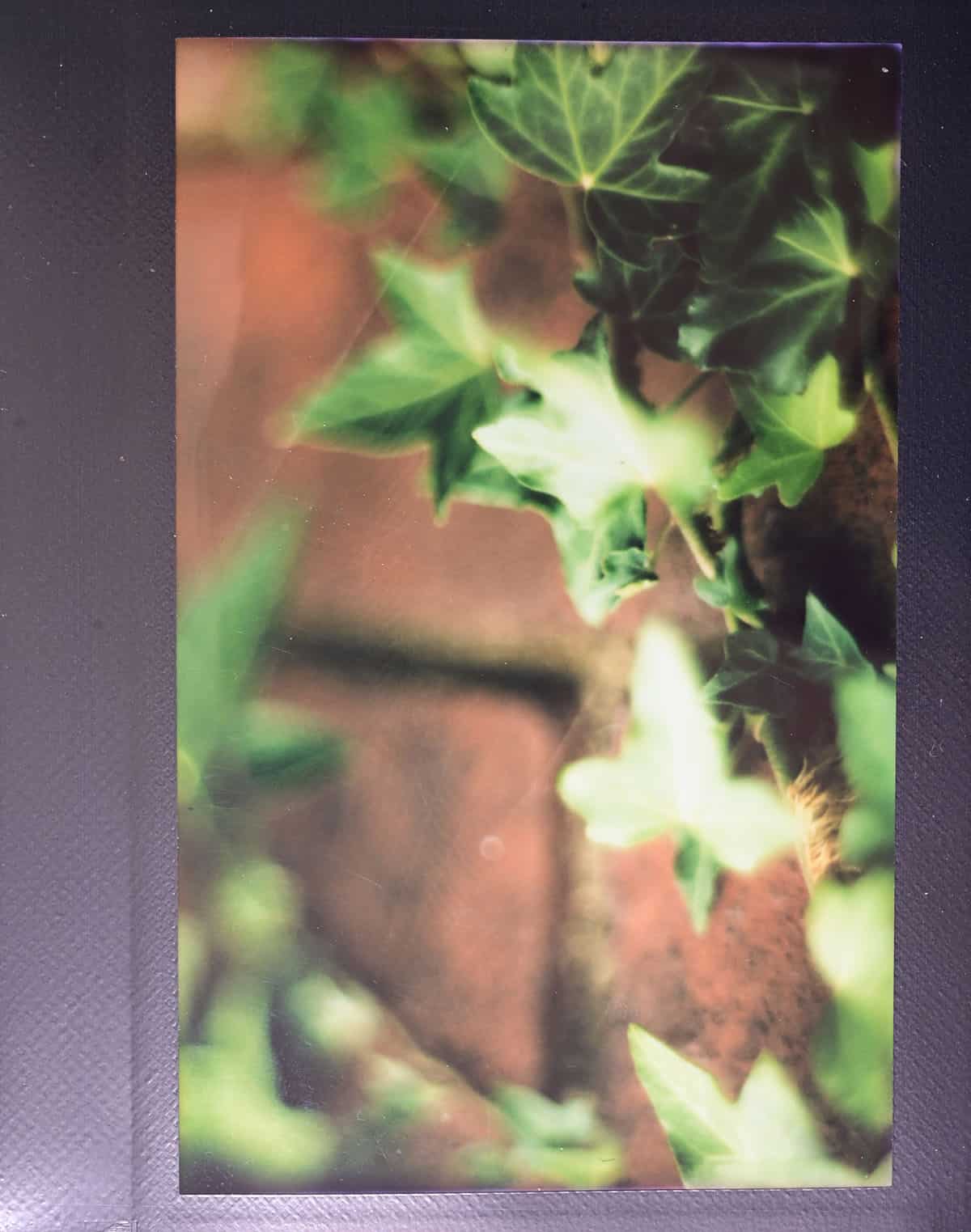 How to Use the Graflex Speed Graphic by Alec Pain on Shoot It With Film