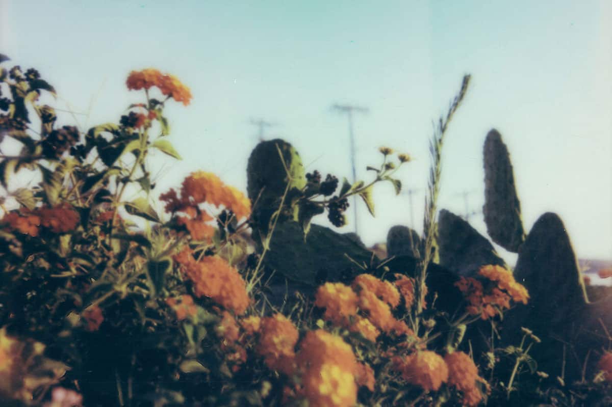 Greece Travel Essay by Antonio Rosato on Shoot It With Film