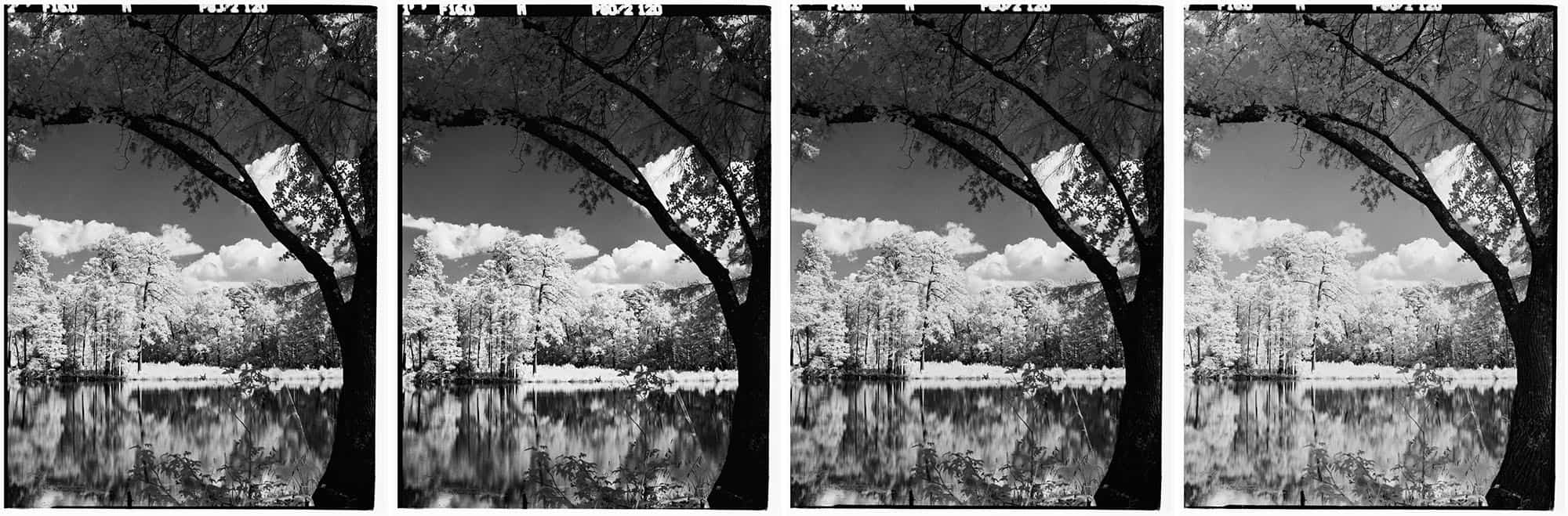 Infrared Film Photography Experiment by Hansel Ong on Shoot It With Film