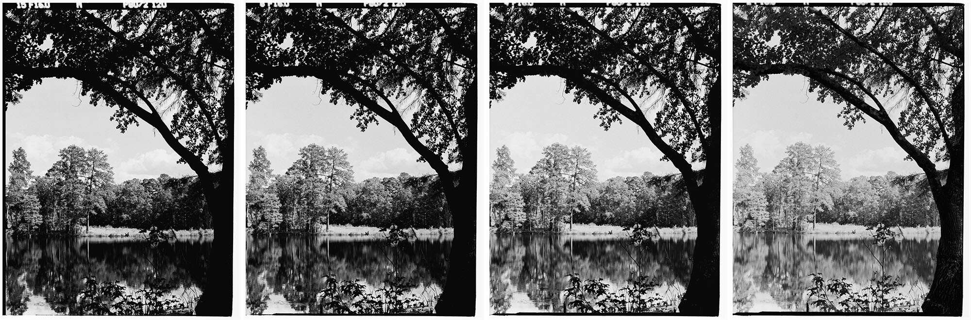 Infrared Film Photography Experiment by Hansel Ong on Shoot It With Film