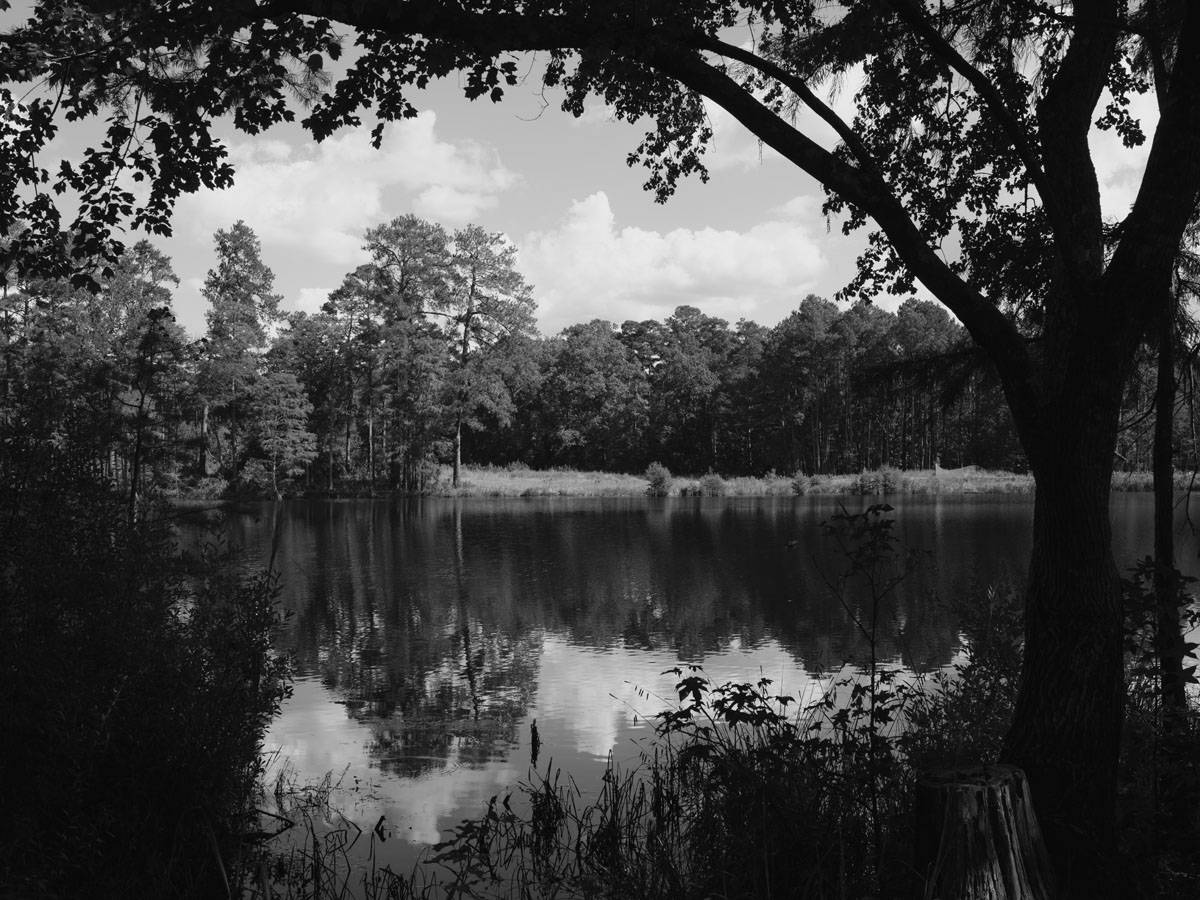 Infrared Film Photography Experiment by Hansel Ong on Shoot It With Film