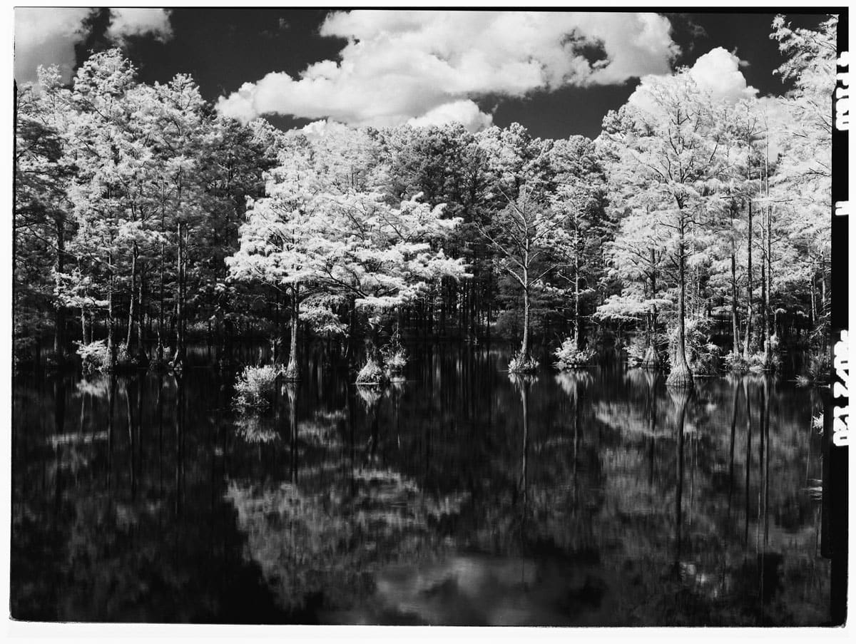 Infrared Film Photography Experiment by Hansel Ong on Shoot It With Film