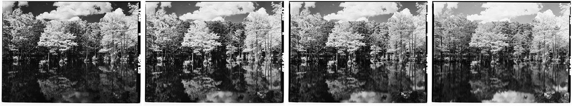 Infrared Film Photography Experiment by Hansel Ong on Shoot It With Film