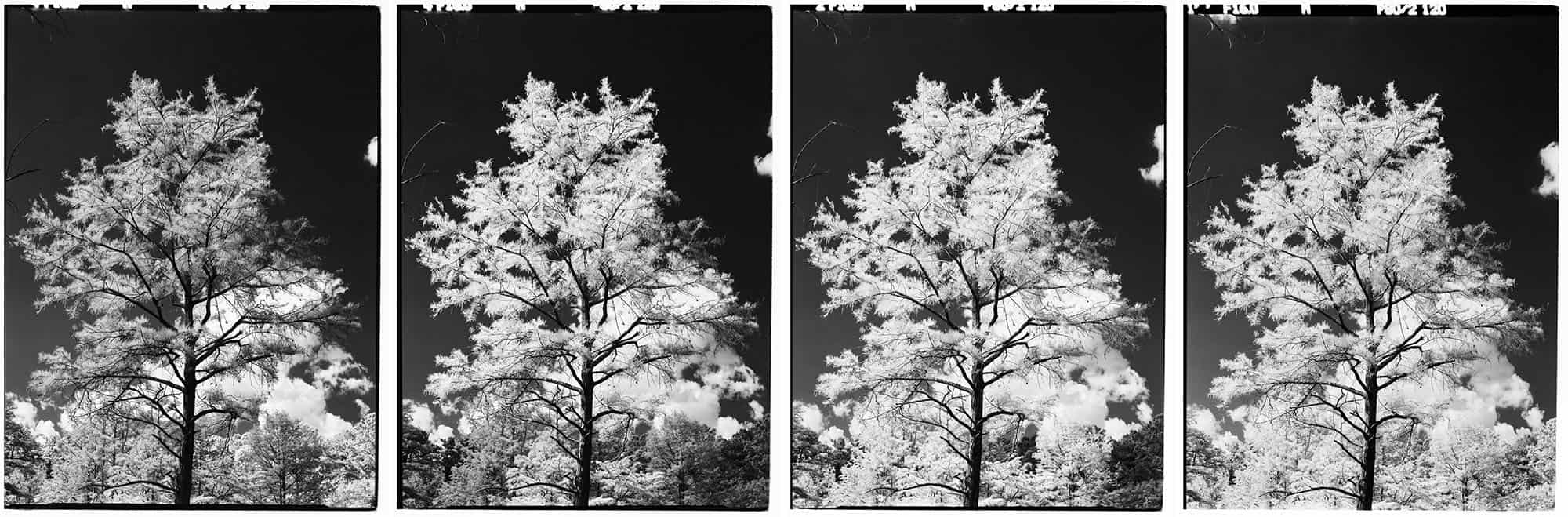 Infrared Film Photography Experiment by Hansel Ong on Shoot It With Film