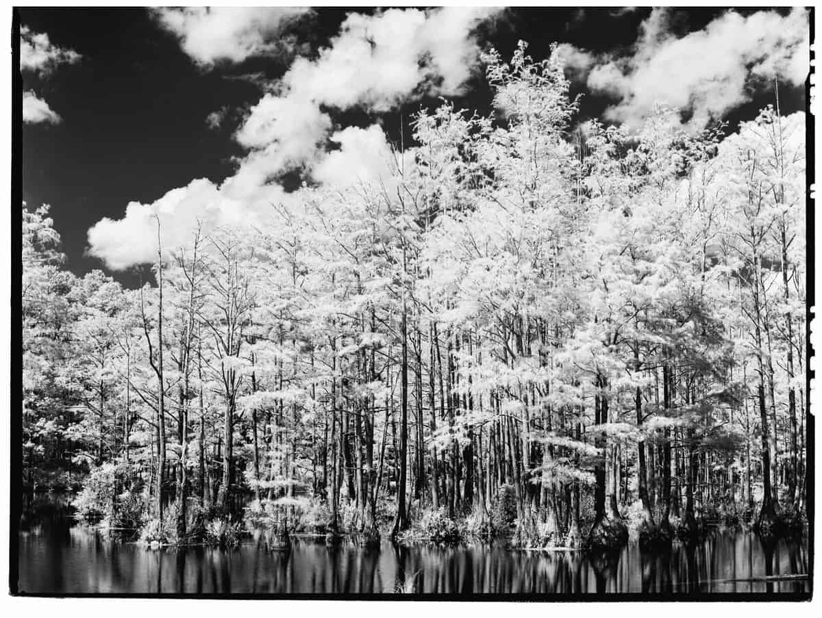 Infrared Film Photography Experiment by Hansel Ong on Shoot It With Film