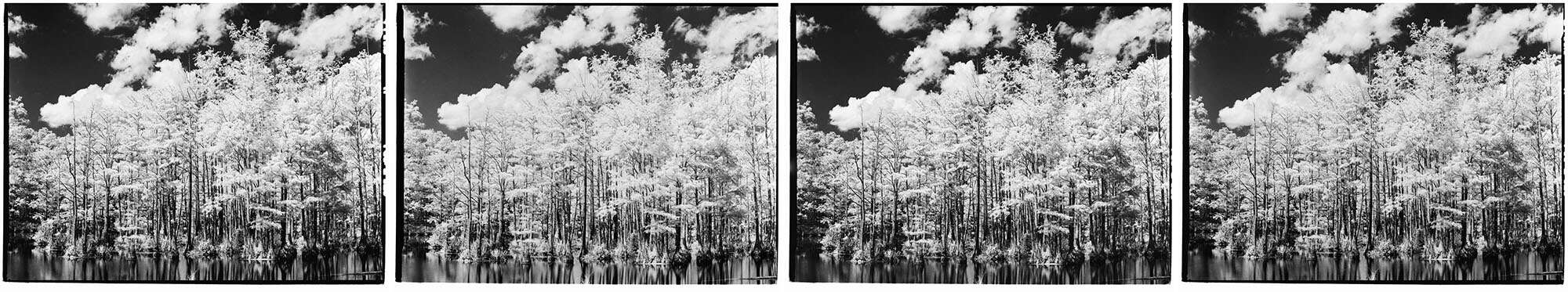 Infrared Film Photography Experiment by Hansel Ong on Shoot It With Film