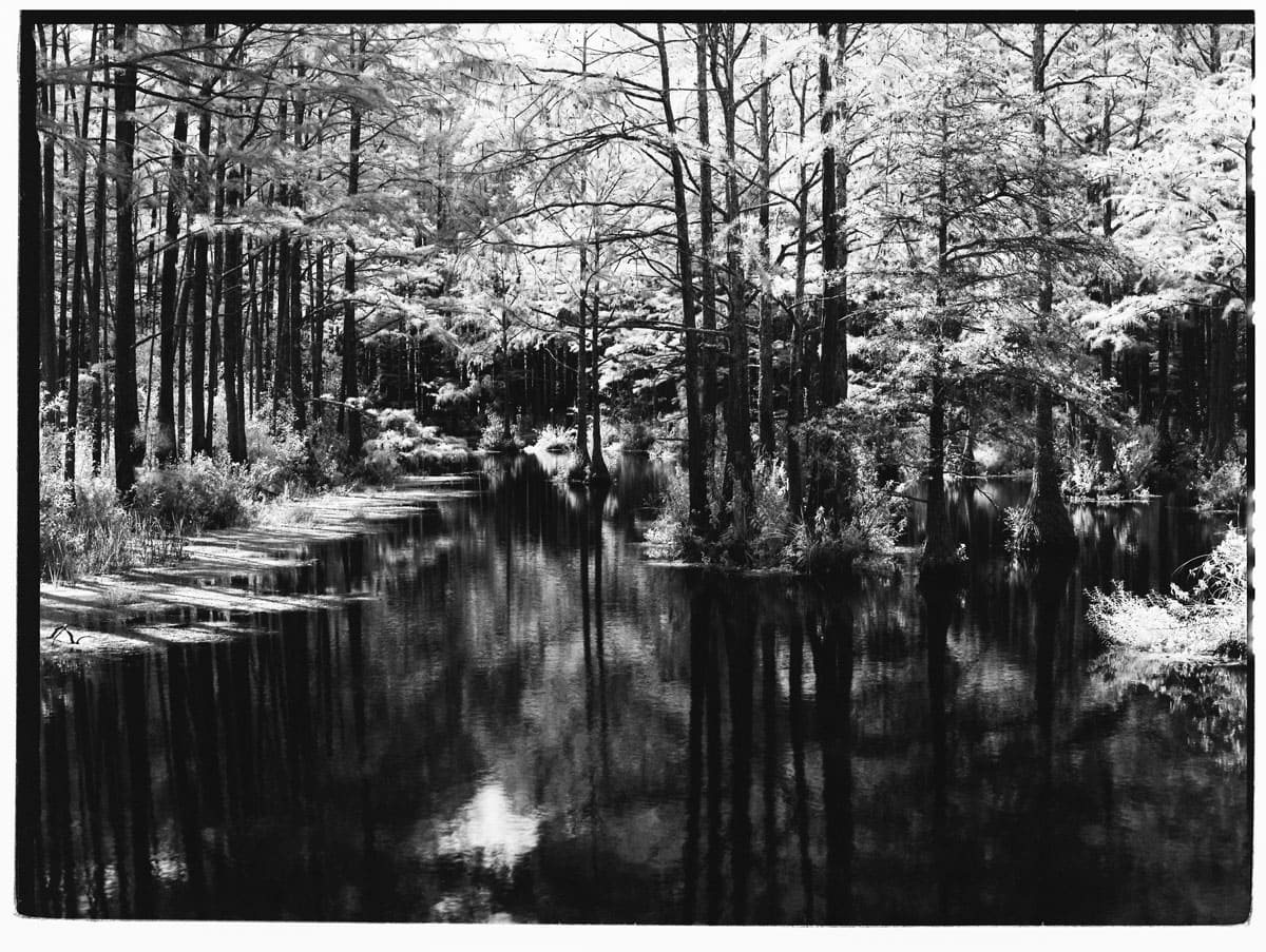 Infrared Film Photography Experiment by Hansel Ong on Shoot It With Film