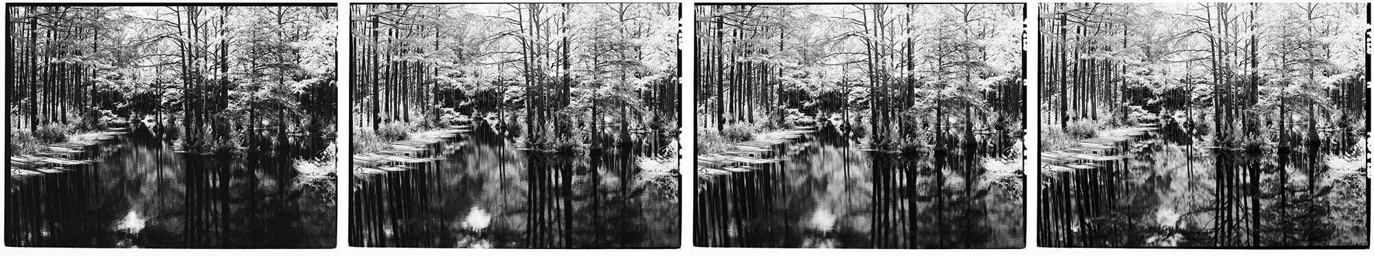 Infrared Film Photography Experiment by Hansel Ong on Shoot It With Film