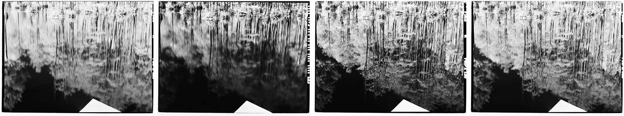 Infrared Film Photography Experiment by Hansel Ong on Shoot It With Film
