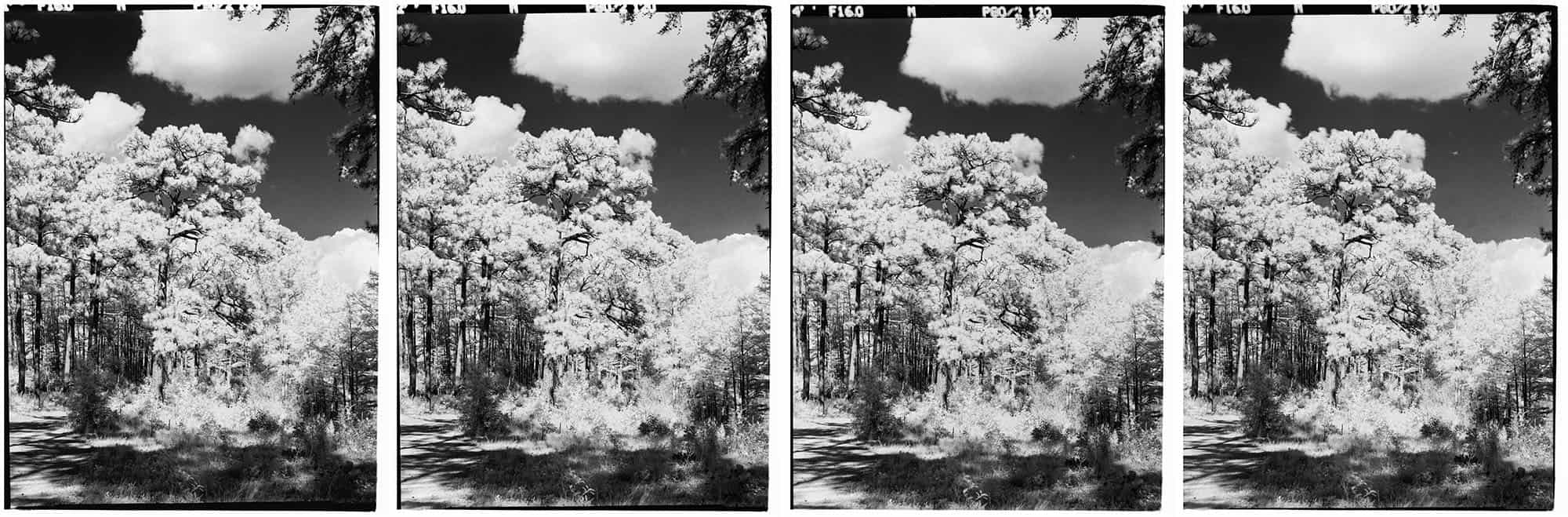 Infrared Film Photography Experiment by Hansel Ong on Shoot It With Film