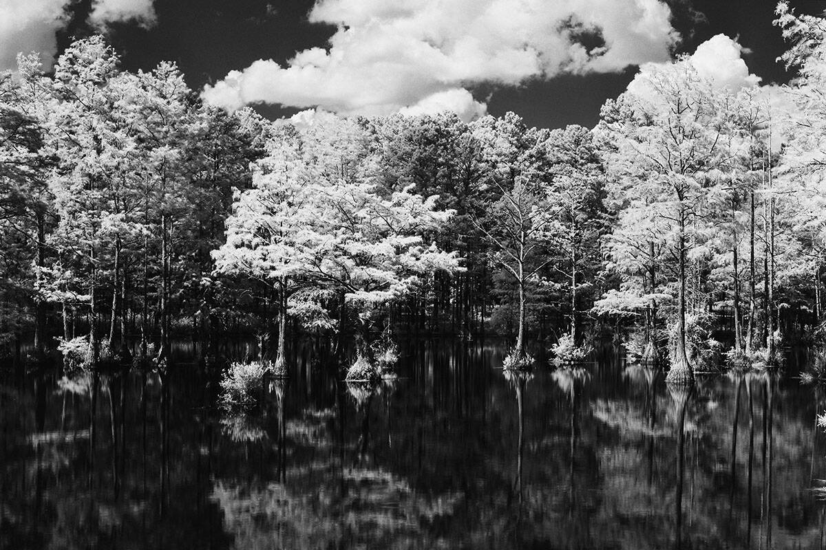Infrared Film Photography Experiment by Hansel Ong on Shoot It With Film