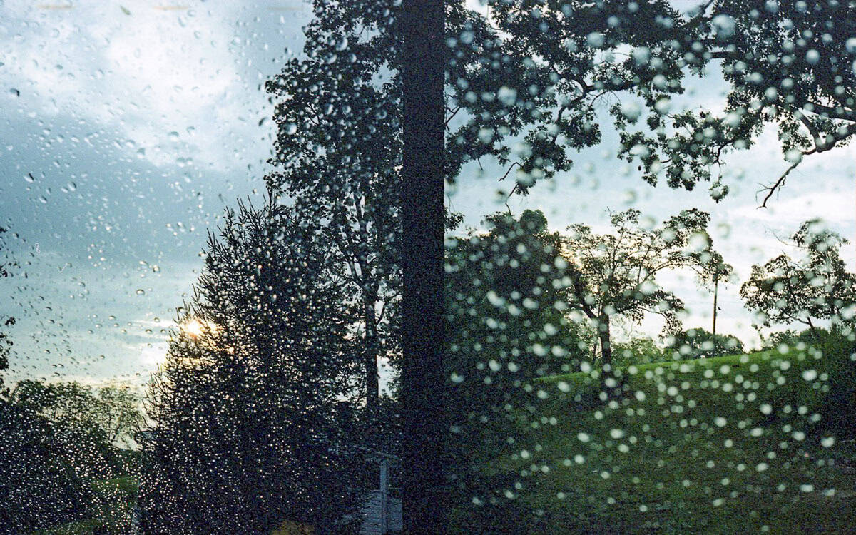 Pentax 17 Half Frame Film Camera Review by Taylor Blanchard on Shoot It With Film