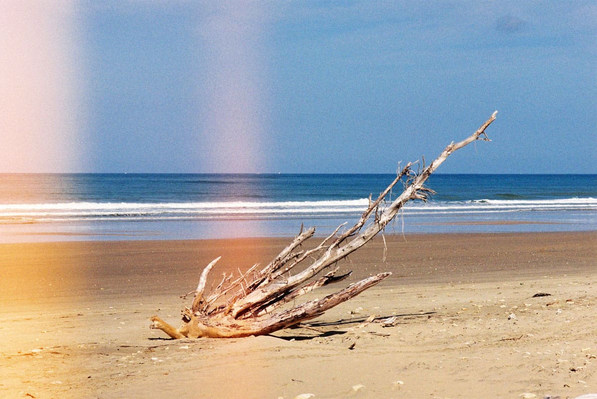 Secret Summer Series on 35mm Film by Jean-Christophe Villefranche on Shoot It With Film