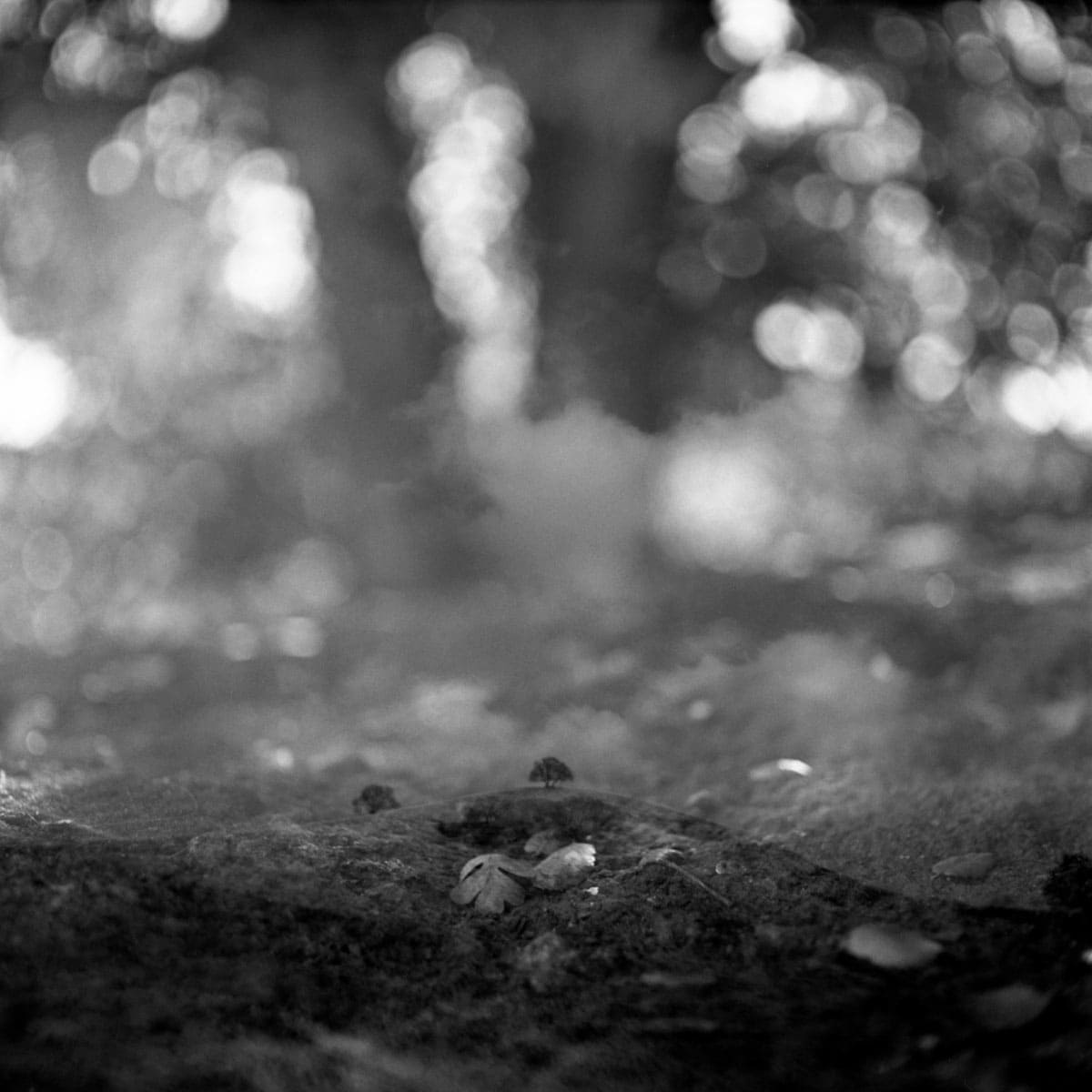 Where You Are Photo Series by J M Golding on Shoot It With Film