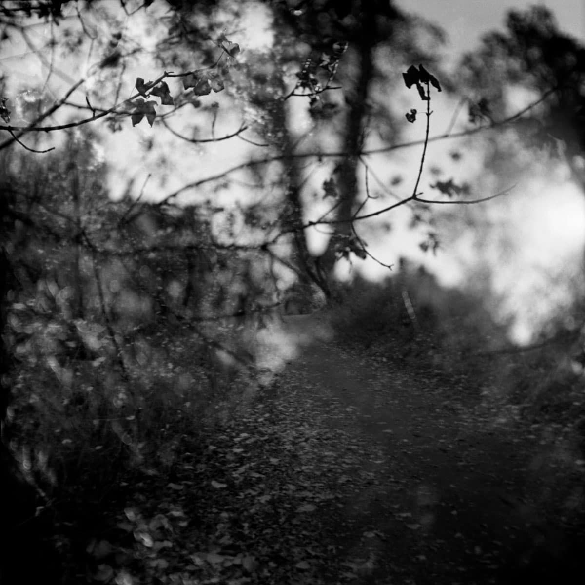 Where You Are Photo Series by J M Golding on Shoot It With Film