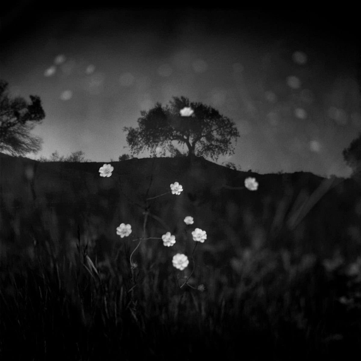 Where You Are Photo Series by J M Golding on Shoot It With Film