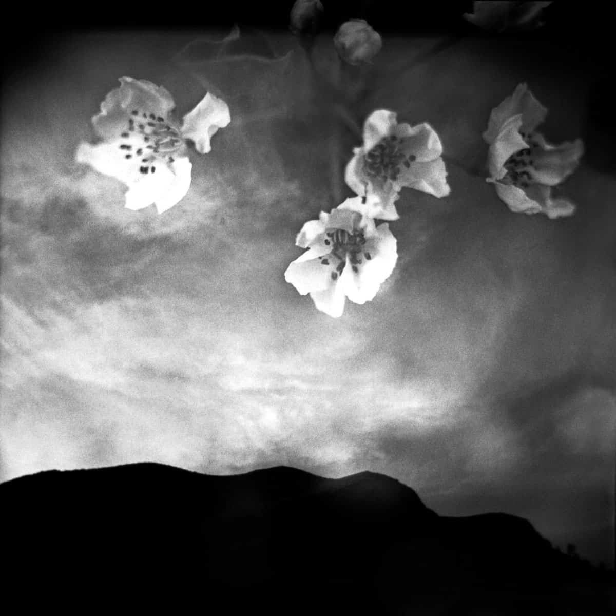 Where You Are Photo Series by J M Golding on Shoot It With Film